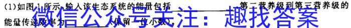 中考必刷卷·安徽省2023年安徽中考第一轮复习卷(六)6生物