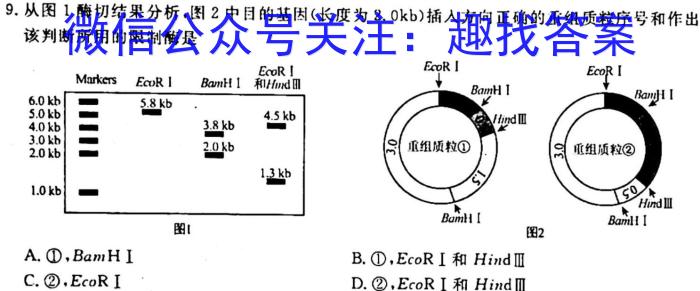 安徽省九年级2022-2023学年新课标闯关卷（十八）AH生物