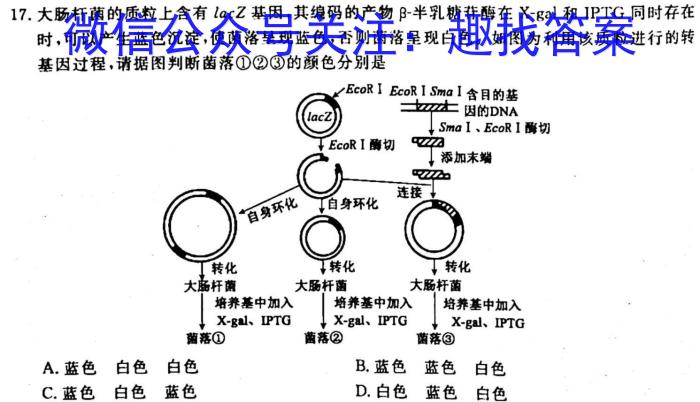 2023年普通高等学校招生全国统一考试考前演练一1(全国卷)生物