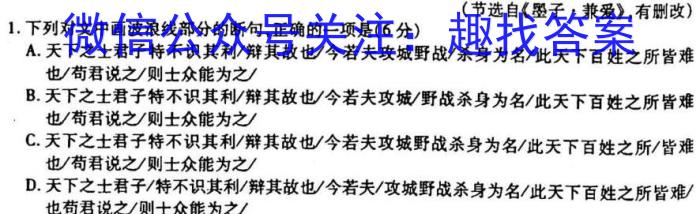 2022-023学年安徽省九年级下学期阶段性质量监测（六）语文