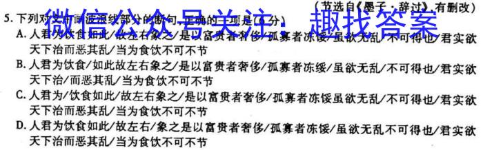 耀正文化(湖南四大名校联合编审)·2023届名校名师模拟卷(六)6语文