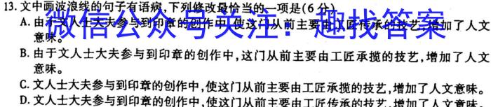 中考必刷卷·安徽省2023年安徽中考第一轮复习卷(八)8语文