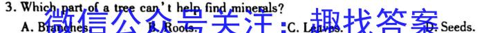 2023届先知模拟卷（三）老教材英语