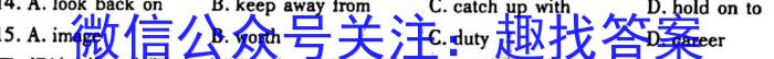 ［陕西］2023年陕西省九年级下学期3月联考（23-CZ97c·金卷二）英语