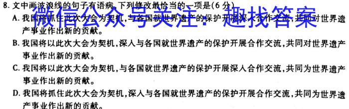 大联考·百校大联考 2023届高三第八次百校大联考试卷 新教材-L语文