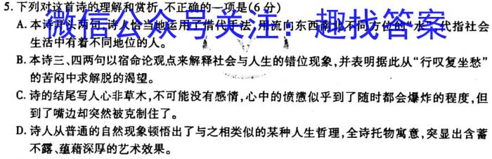 江西省2023届九年级《学业测评》分段训练（五）语文