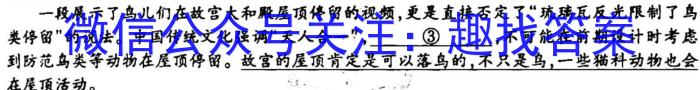 [启光教育]2023年普通高等学校招生全国统一模拟考试 新高考(2023.2)语文