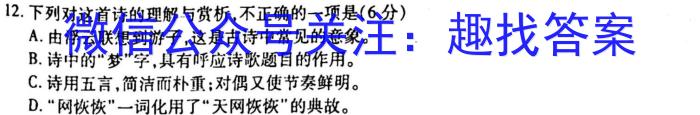 安徽第一卷·2023年安徽中考信息交流试卷（七）语文