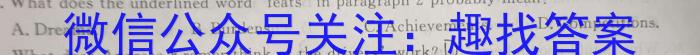 安徽省九年级2022-2023学年新课标闯关卷（十三）AH英语