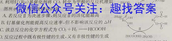 江西省2023届九年级考前适应性评估（一）（6LR）化学