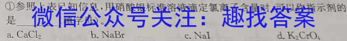 2023年陕西省初中学业水平考试·全真模拟卷（二）B版化学