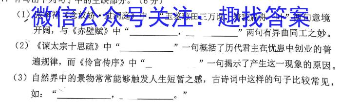 江西省2023届九年级《学业测评》分段训练（五）语文