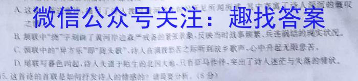 大联考海南省2022-2023学年高考全真模拟（六）语文