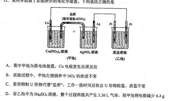 天一大联考2022-2023学年高一年级阶段性测试(三)化学