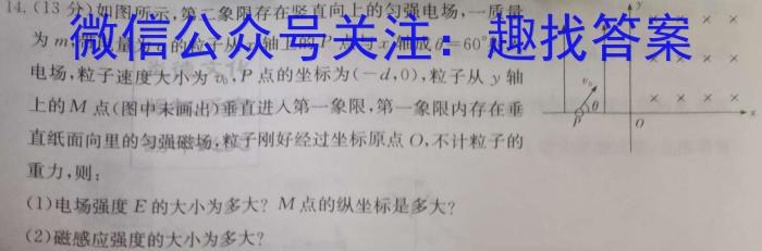 2023年新高考模拟冲刺卷(五)5l物理