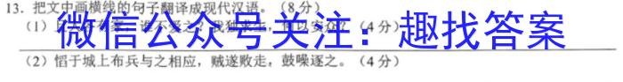 2022-2023学年安徽省九年级下学期阶段性质量监测语文