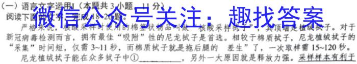 2023年陕西省初中学业水平考试全真模拟（三）C版语文
