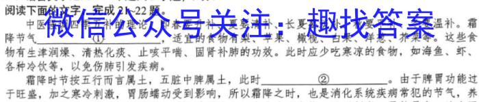 山东省2022-2023学年第二学期九年级区域联考语文