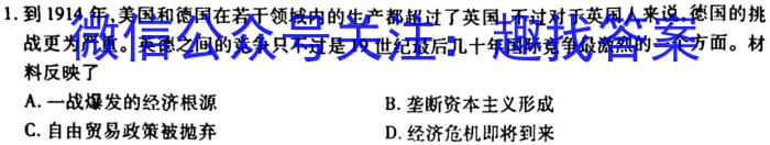 安徽省2023年名校之约·中考导向总复习模拟样卷（九）历史