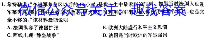 安徽省九年级2022-2023学年新课标闯关卷（十七）AH政治s