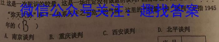 中考必刷卷·安徽省2023年安徽中考第一轮复习卷(九)9历史