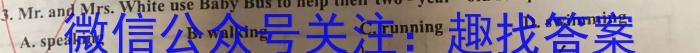 2023届河北高三年级3月联考英语