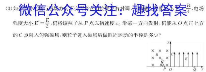 安徽省六安市2023届九年级第一学期期末质量监测物理`