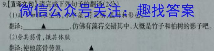 中考必刷卷·安徽省2023年安徽中考第一轮复习卷(六)6语文