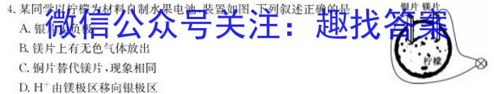 2023届先知模拟卷(四)4化学