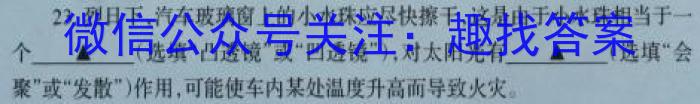 2023届南平二检q物理