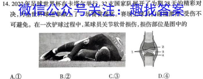 腾·云联盟2023学年九年级调研检测生物