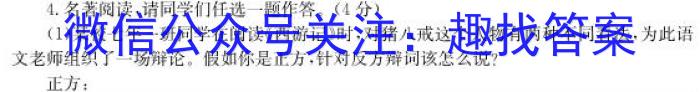 安徽省芜湖市2023届初中毕业班教学质量模拟监测（一）语文