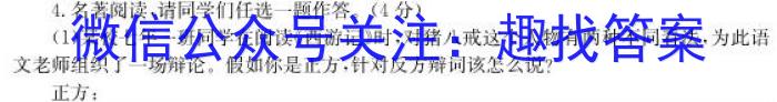 安徽省2023届九年级联盟考试（23-CZ124c）语文