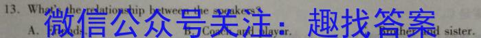 凤庆县2022-2023学年上学期九年级期末阶段性教学水平诊断监测(23-CZ70c)英语