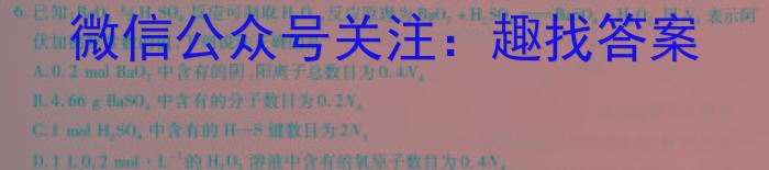 安徽省无为市2023届九年级第二学期学情调研化学