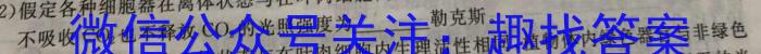 非凡吉创 2022-2023学年高三年级TOP二十名校调研模拟卷三生物