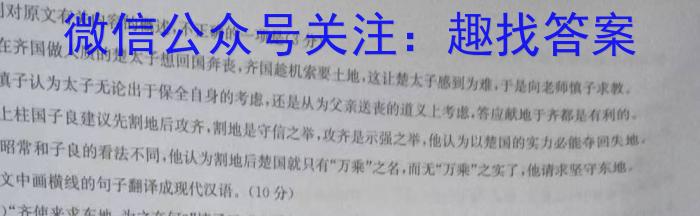 2023年普通高等学校招生全国统一考试·调研模拟卷XK-QG(四)语文