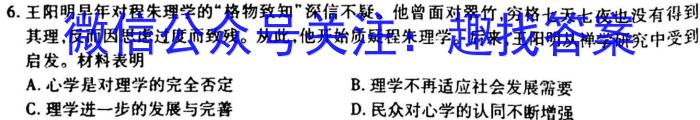 炎德英才大联考湖南师大附中2022-2023高二第二学期第一次大练习历史