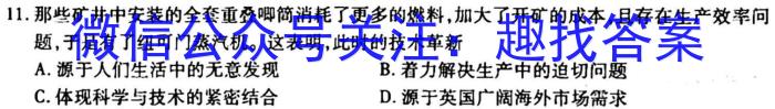 2023年普通高等学校招生全国统一考试金卷仿真密卷(九)9 23新高考·JJ·FZMJ历史