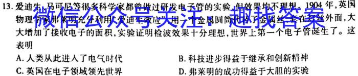 安徽省芜湖市2023届初中毕业班教学质量模拟监测（二）历史