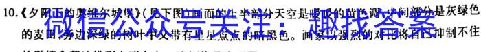 天一大联考·河南省2025届高一年级3月联考历史