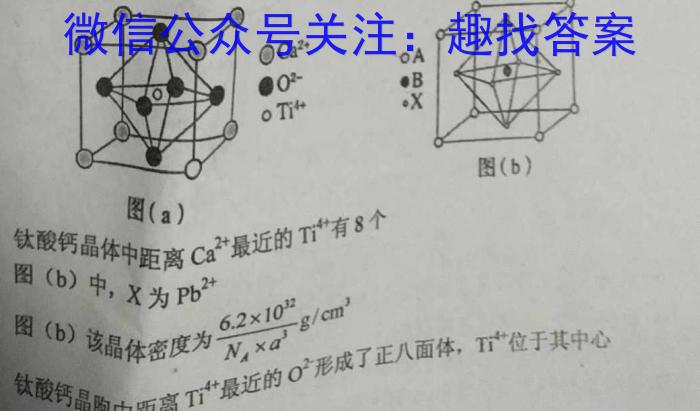 安徽省2024届芜湖市高二上学期期末学情检测（23-261B）化学