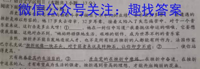 2023年安徽省教育教学联盟大联考·中考密卷(一)1语文