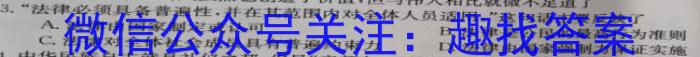 [合阳县]2023年初中学业水平考试·全真模拟卷(一)A地.理