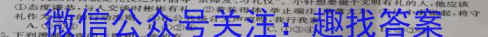 湖北省2022-2023学年九年级上学期期末质量检测s地理