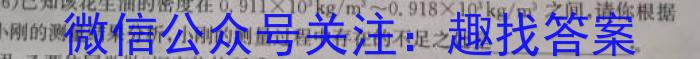 安徽省九年级2022-2023学年新课标闯关卷（十三）AHl物理