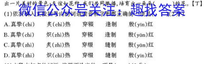 黑龙江省SL2022~2023学年度下学期高二开学初考试卷(3305B)语文