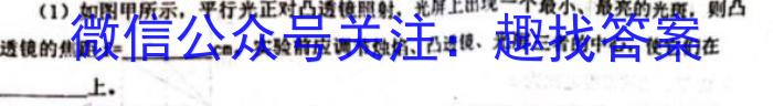 厚德诚品 湖南省2023高考冲刺试卷(四)4q物理