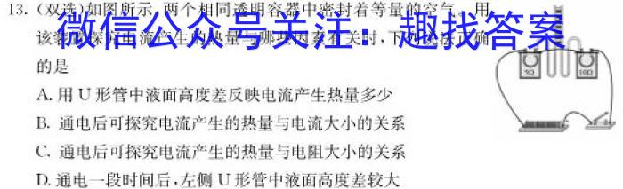 凤庆县2022-2023学年上学期九年级期末阶段性教学水平诊断监测(23-CZ70c)f物理