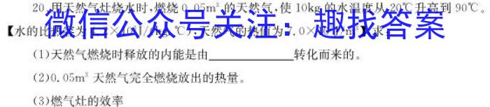 江西省2023年初中学业水平模拟考试（四）f物理